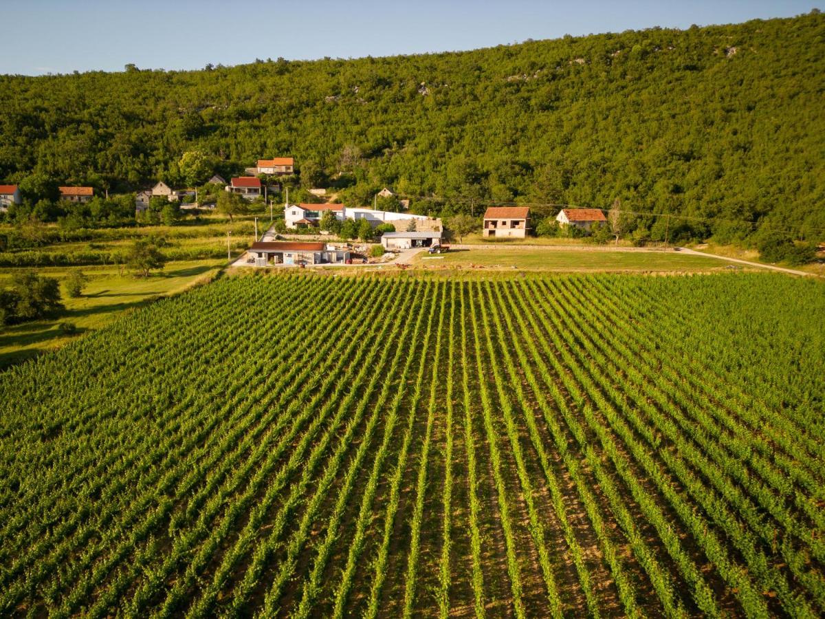 Krolo Villa&Wine Trilj Exteriér fotografie